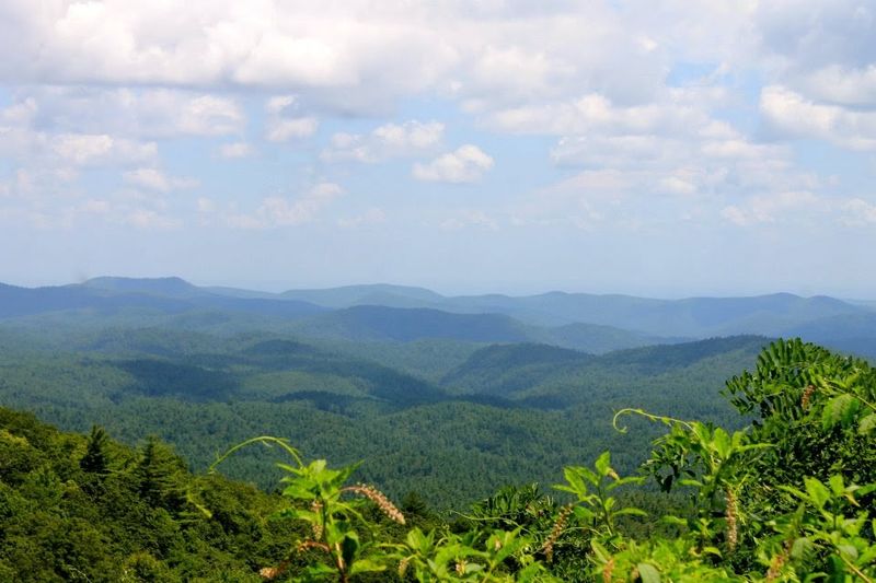 The Highlands Biological Station: Where Science Meets the Wild