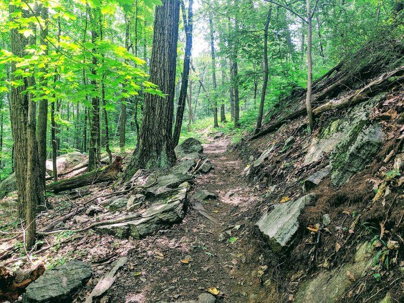 The Highlands Trail for Ridge Hikers