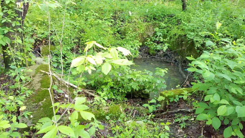 The Historic Iron Furnace Ruins