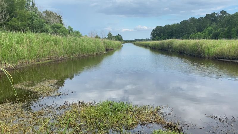 The Historic Rice Plantation Backstory