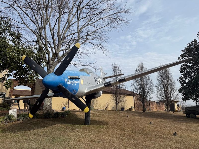 The Iconic P-51 Mustang Out Front