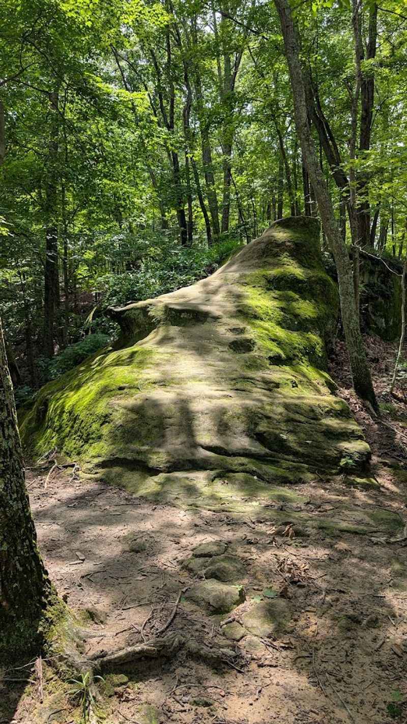 The Indian Mound Trail and Its Connection to Ancient History The Indian Mound Trail and Its Connection to Ancient History