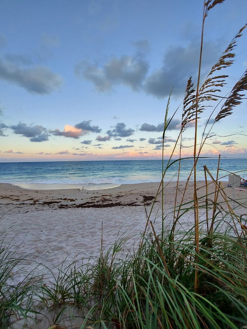 The Indian River Lagoon and Its Incredible Ecosystem