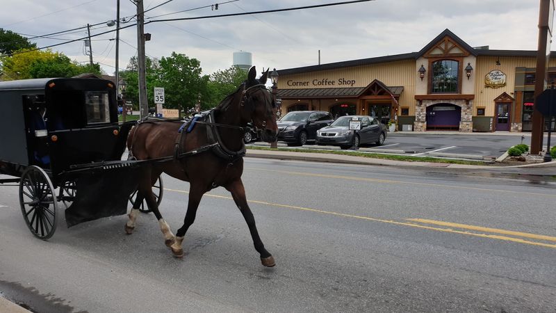 The Intercourse Canning Company and Specialty Food Scene The Intercourse Canning Company and Specialty Food Scene
