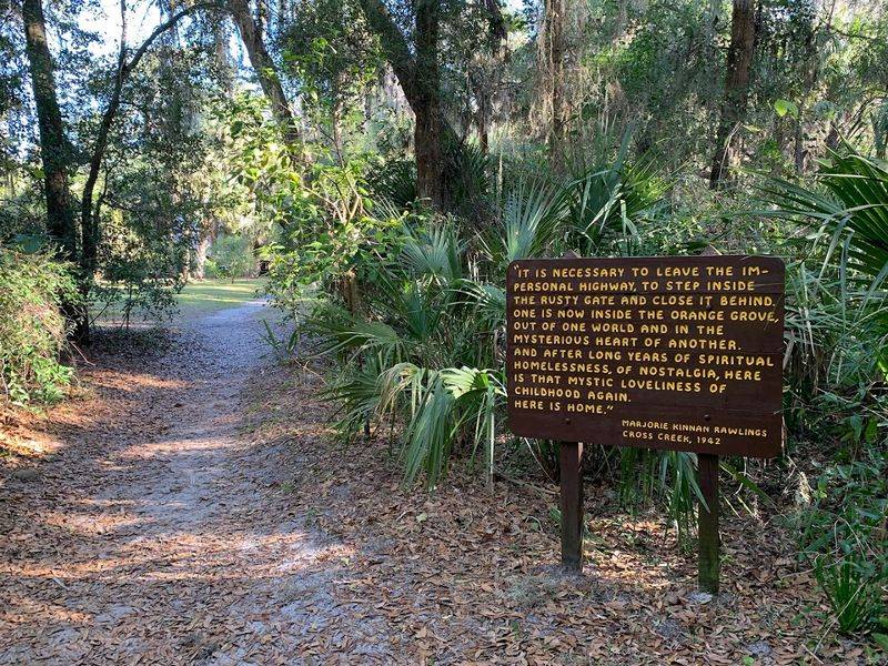 The Jungle Trail Behind the House