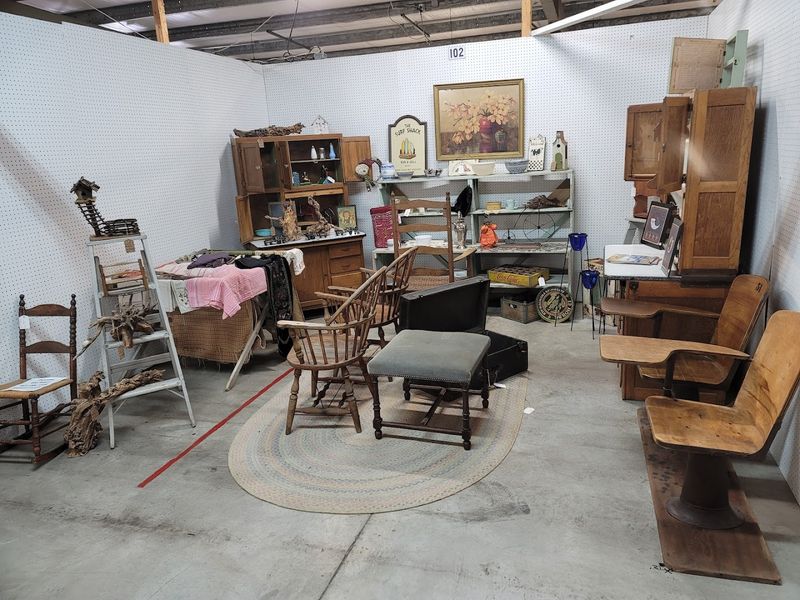 The Kitty Room That Visitors Absolutely Love