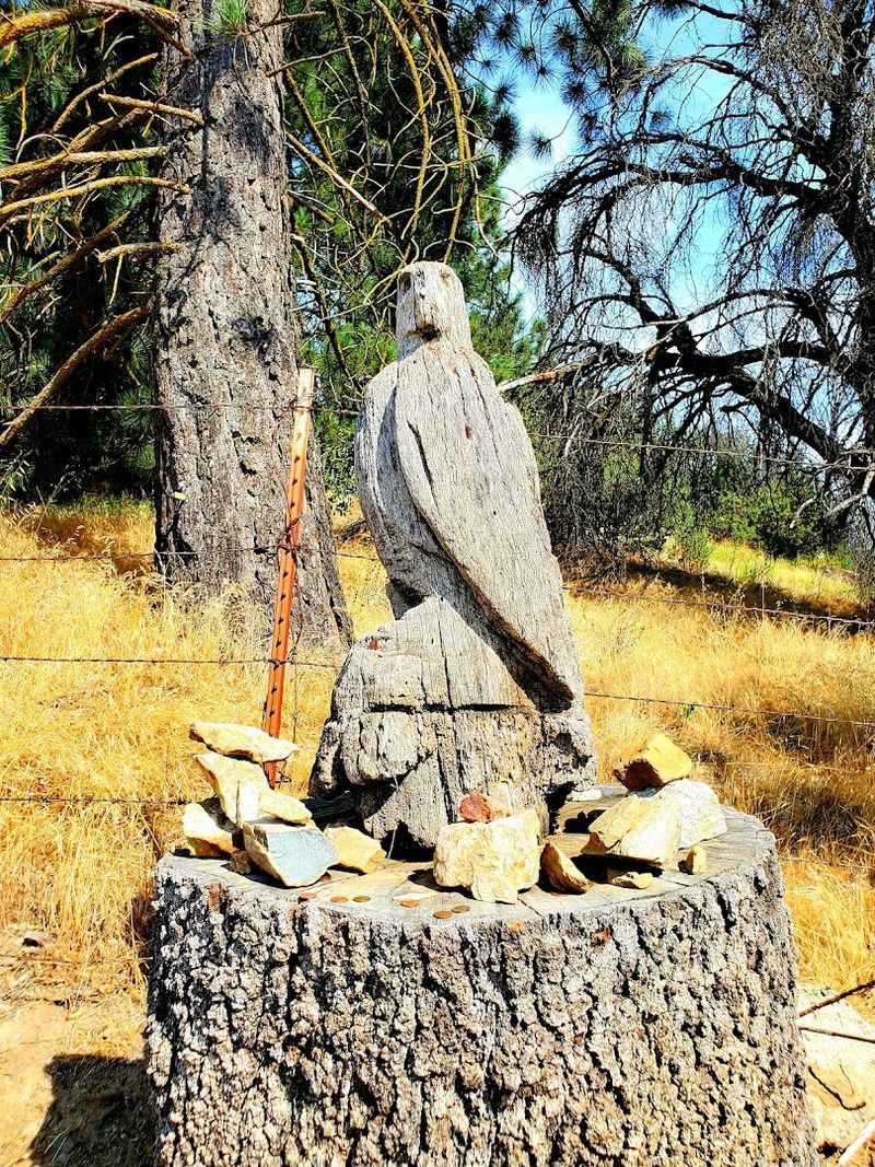The Kumeyaay Native American Heritage