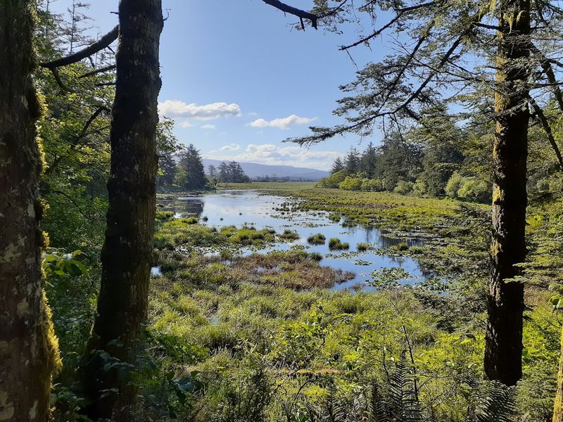 The Lake Earl Loop Trail Hike