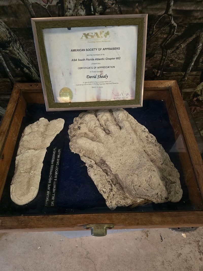 The Legend of the Skunk Ape Itself