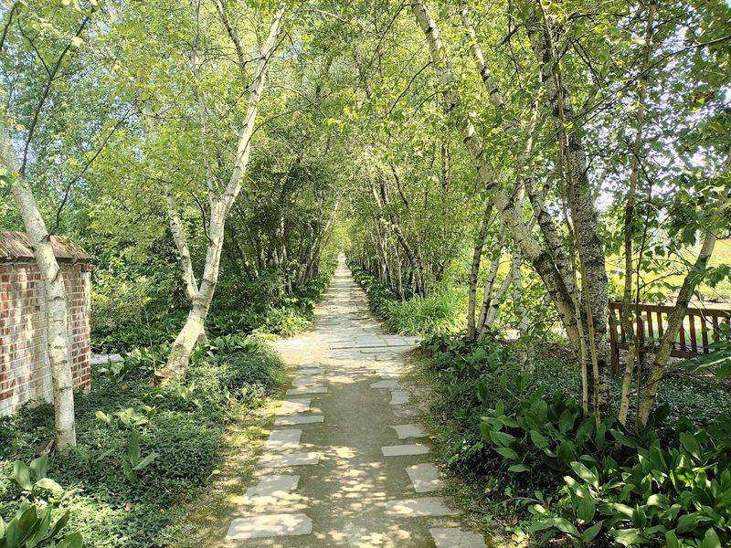 The Legendary Tree Tunnel That Started It All The Legendary Tree Tunnel That Started It All