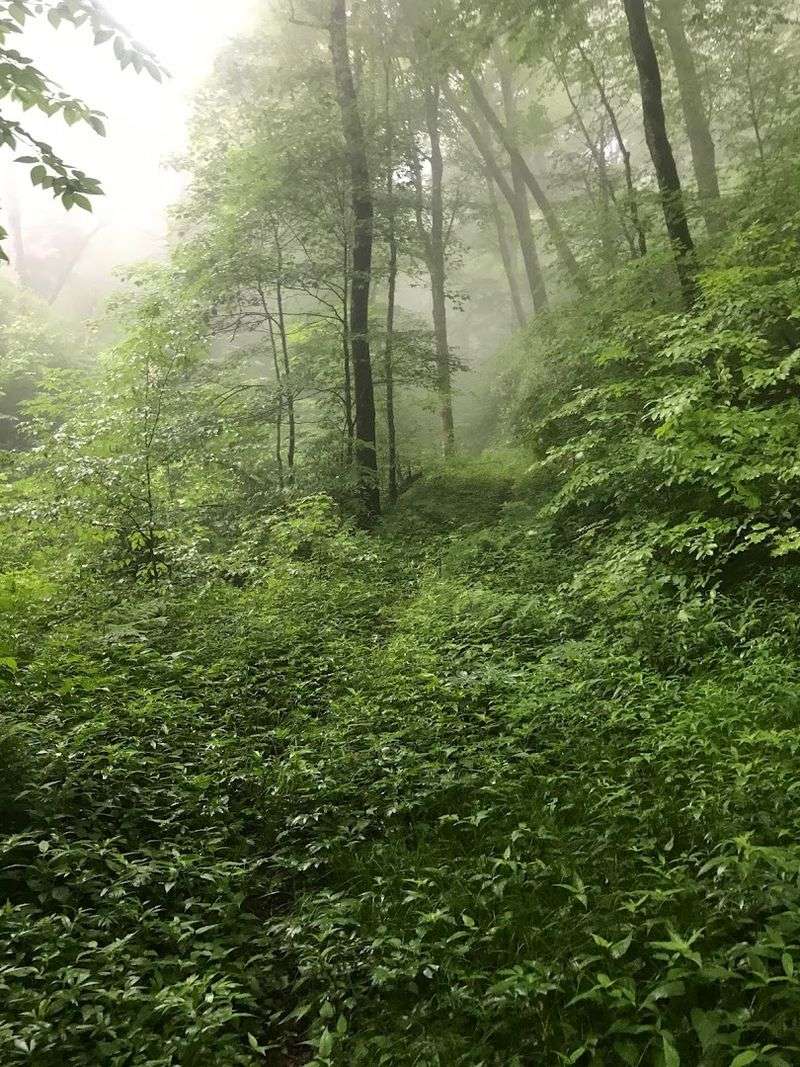 The Loop Trail: Perfect for All Experience Levels
