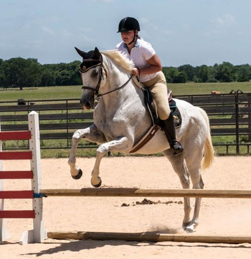 The Magic of Riding a Retired Racehorse