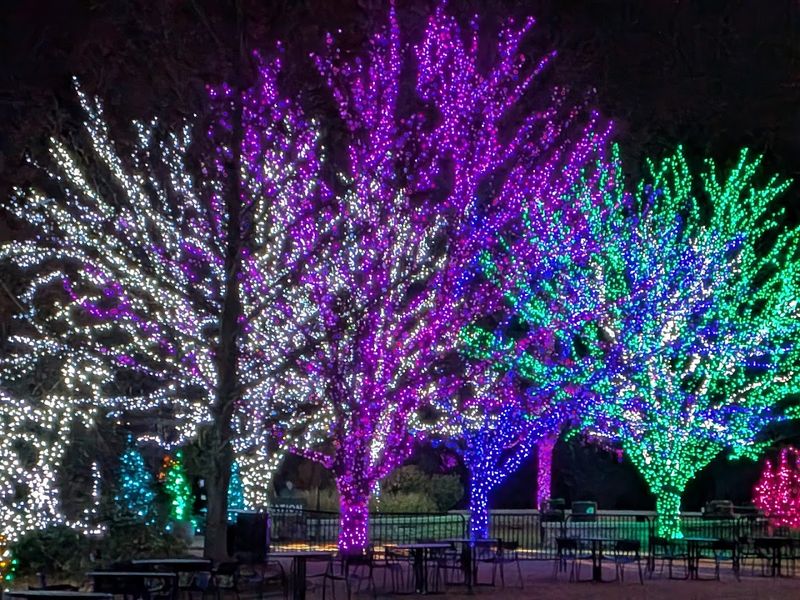 The Magical Illumination Light Show That Draws Winter Crowds