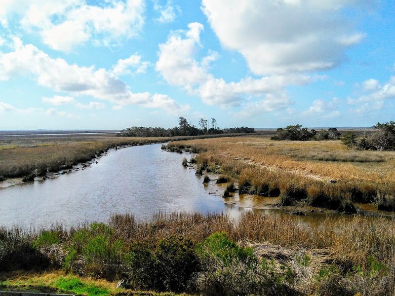 The Magnificent Georgia Coast Marshes