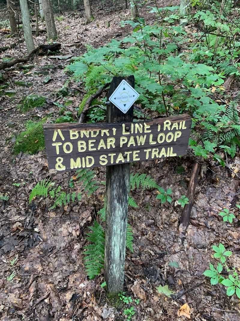 The Mid State Trail Connection for Serious Hikers