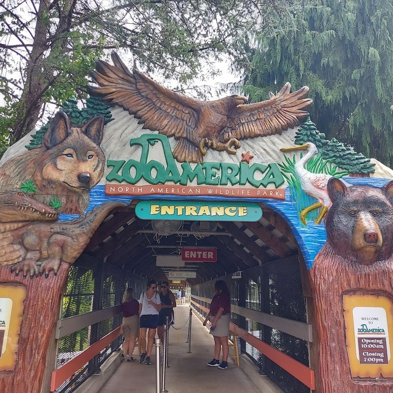 The Monorail That Glides Right Through the Zoo
