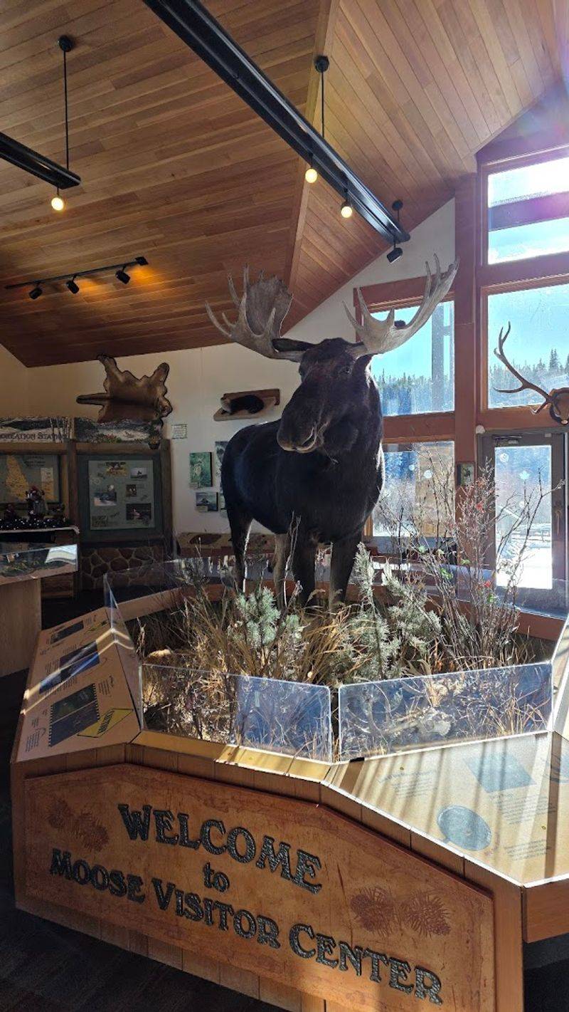 The Moose Visitor Center Is Worth a Stop on Its Own