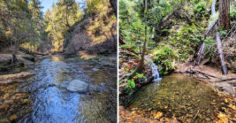 The Most Underrated State Park In California Is A True Hidden Gem