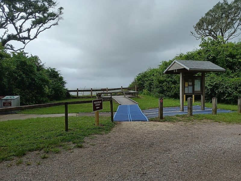 The Mysterious Graffiti Walkway Leading to the Shore