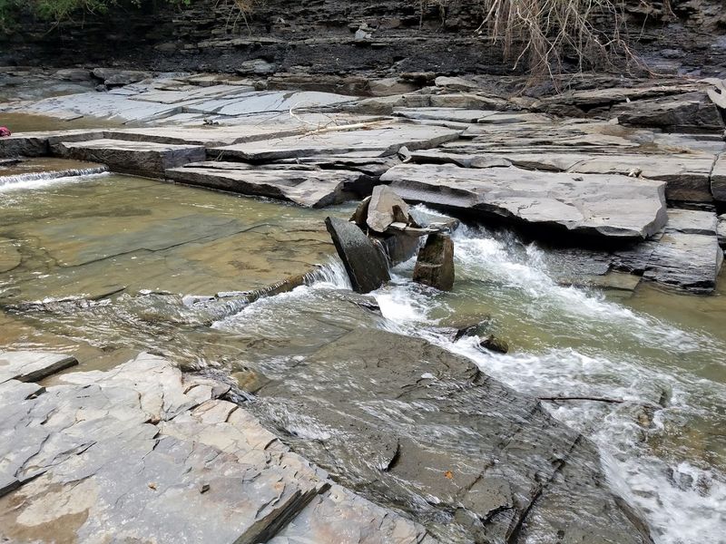 The Mysterious Salt Springs Themselves
