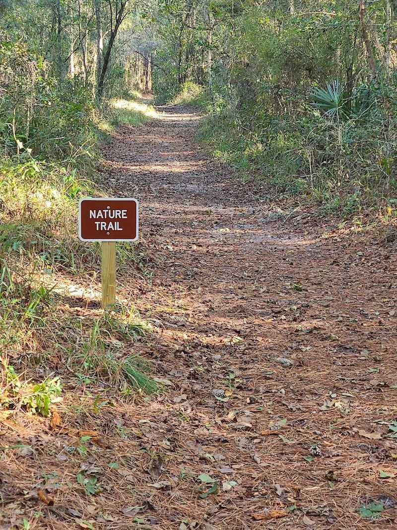 The Nature Trail to the River Beach The Nature Trail to the River Beach
