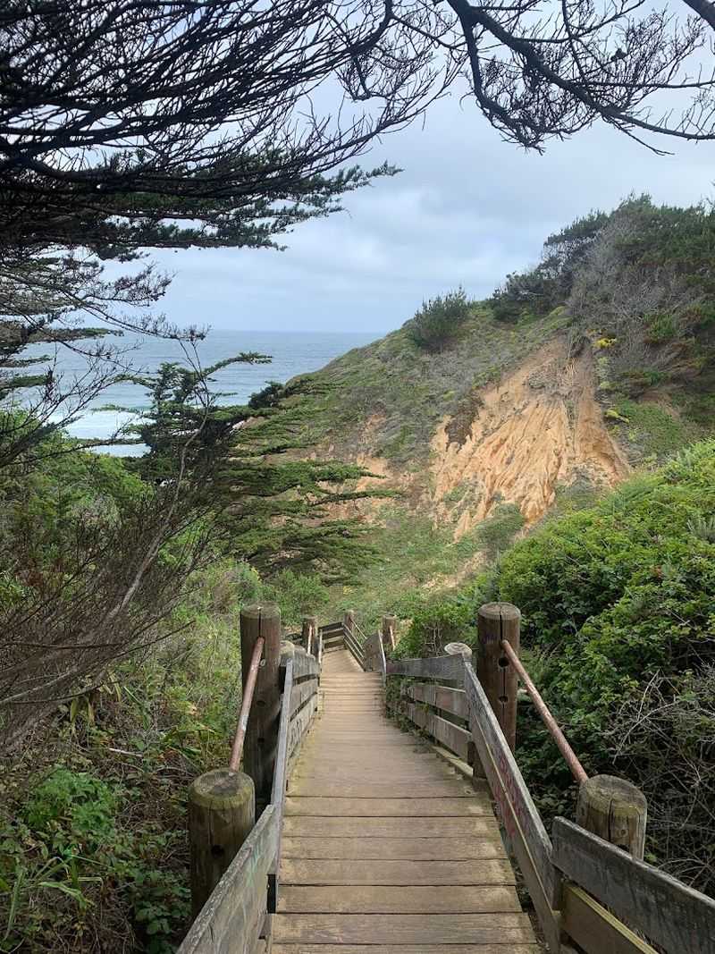 The Nearby Coastal Hiking Trail Experience