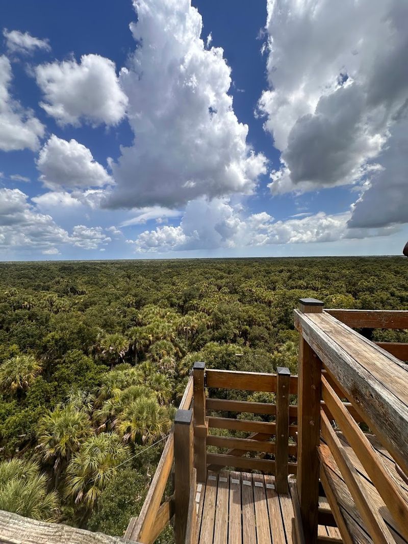 The Observation Tower Views The Observation Tower Views