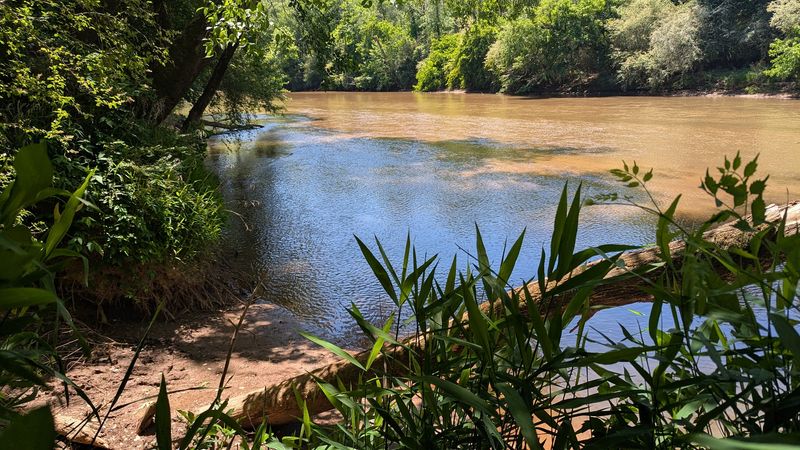 The Oconee River Running Through It All