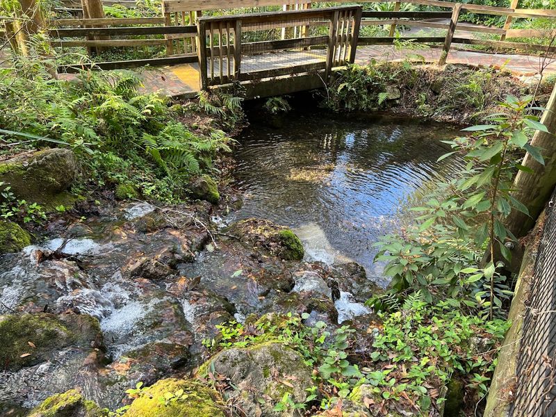 The Old Phosphate Pits: An Adventurous Side Trip The Old Phosphate Pits: An Adventurous Side Trip