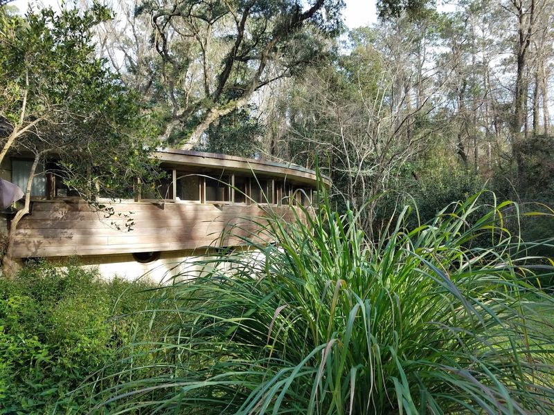 The Overgrown Landscape That Swallows the House The Overgrown Landscape That Swallows the House
