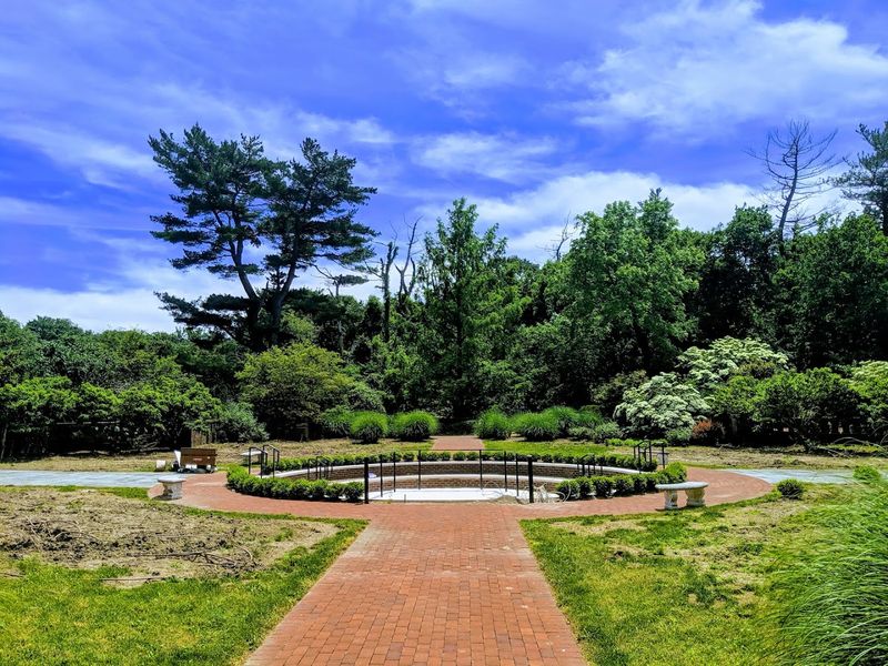 The Overgrown Meadow and Children's Garden