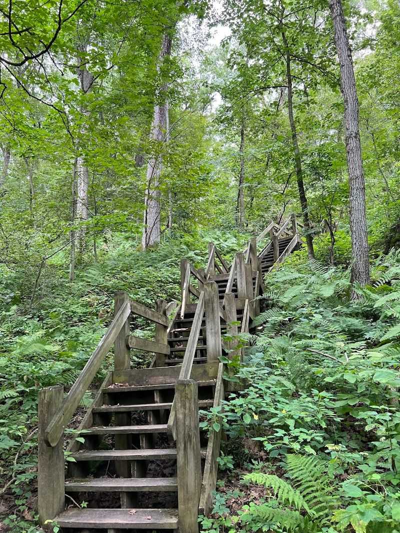 The Palisades of the Mississippi