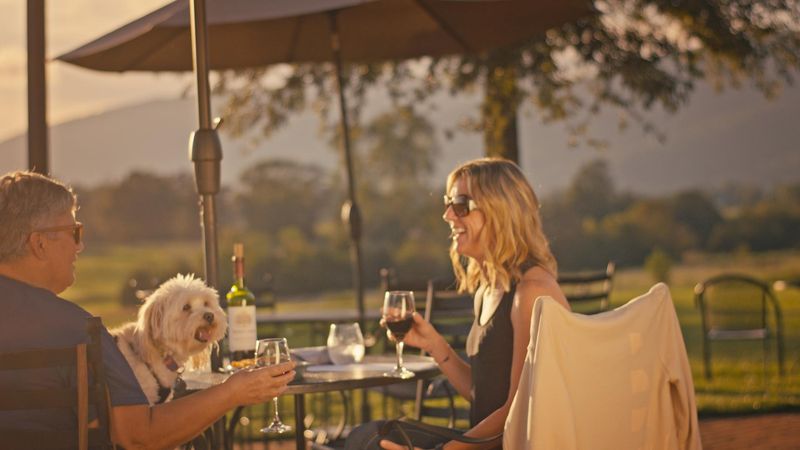The Patio Experience That Guests Cannot Stop Talking About The Patio Experience That Guests Cannot Stop Talking About