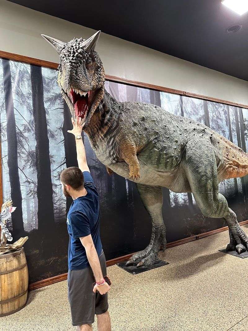 The Prehistoric Museum and Vintage Toy Room
