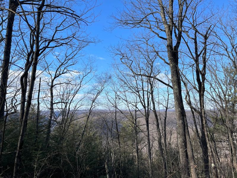 The Preserved Natural Area Designation