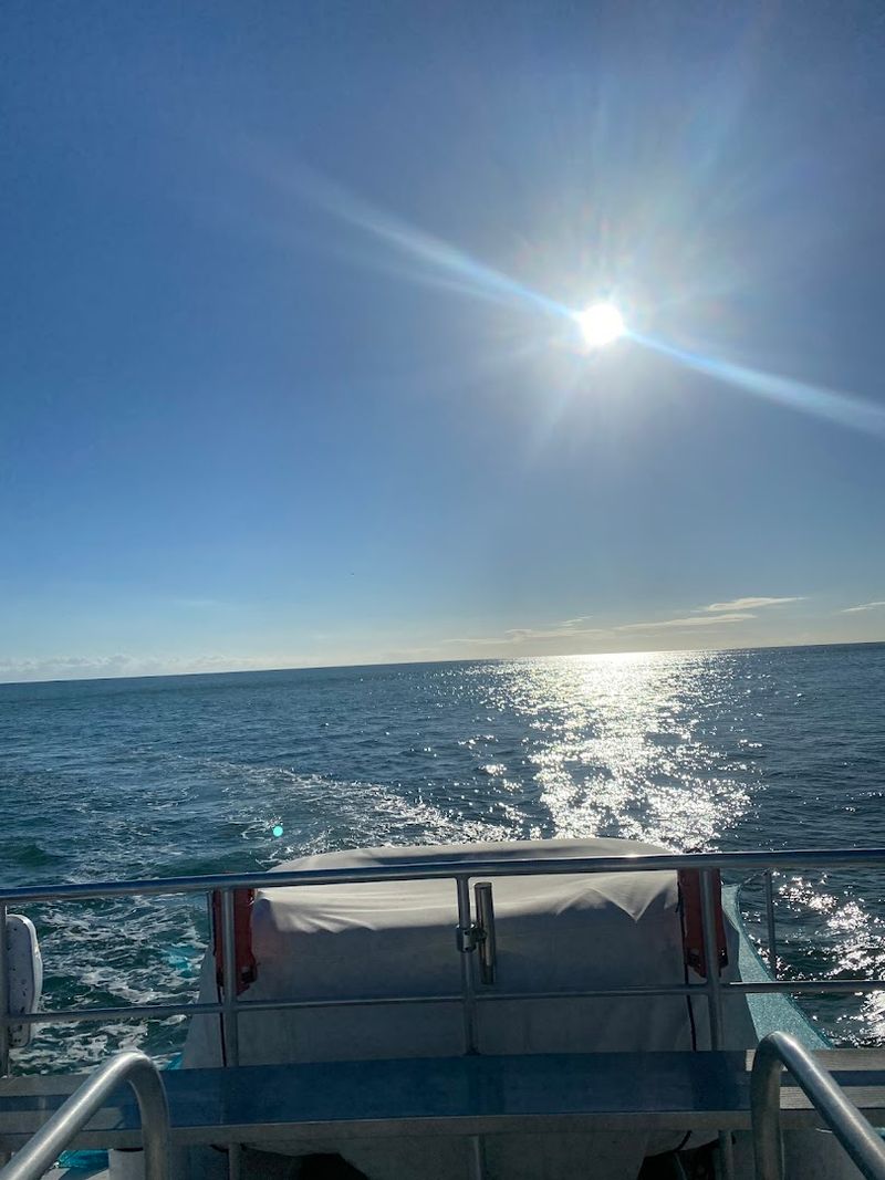 The Private Catamaran Charter Experience