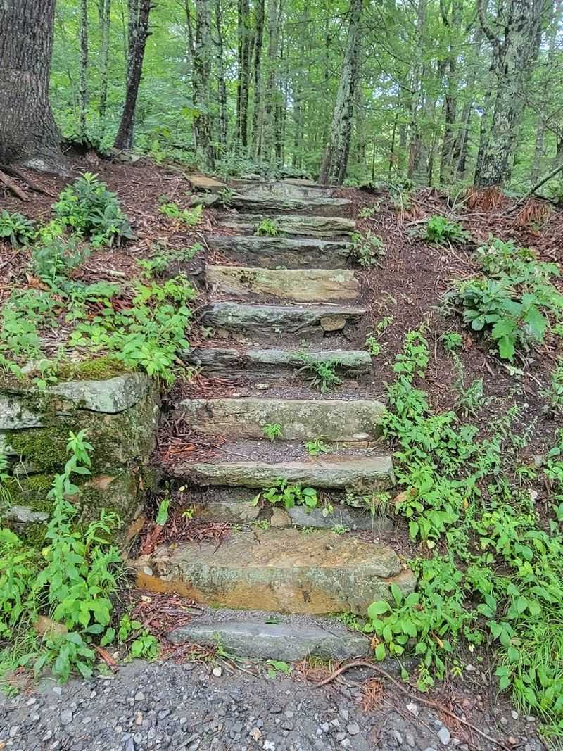 The Quirky Stairs to Nowhere