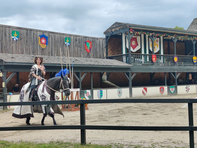 The Renaissance Faire Grounds: Where the Park Gets a Playful Side