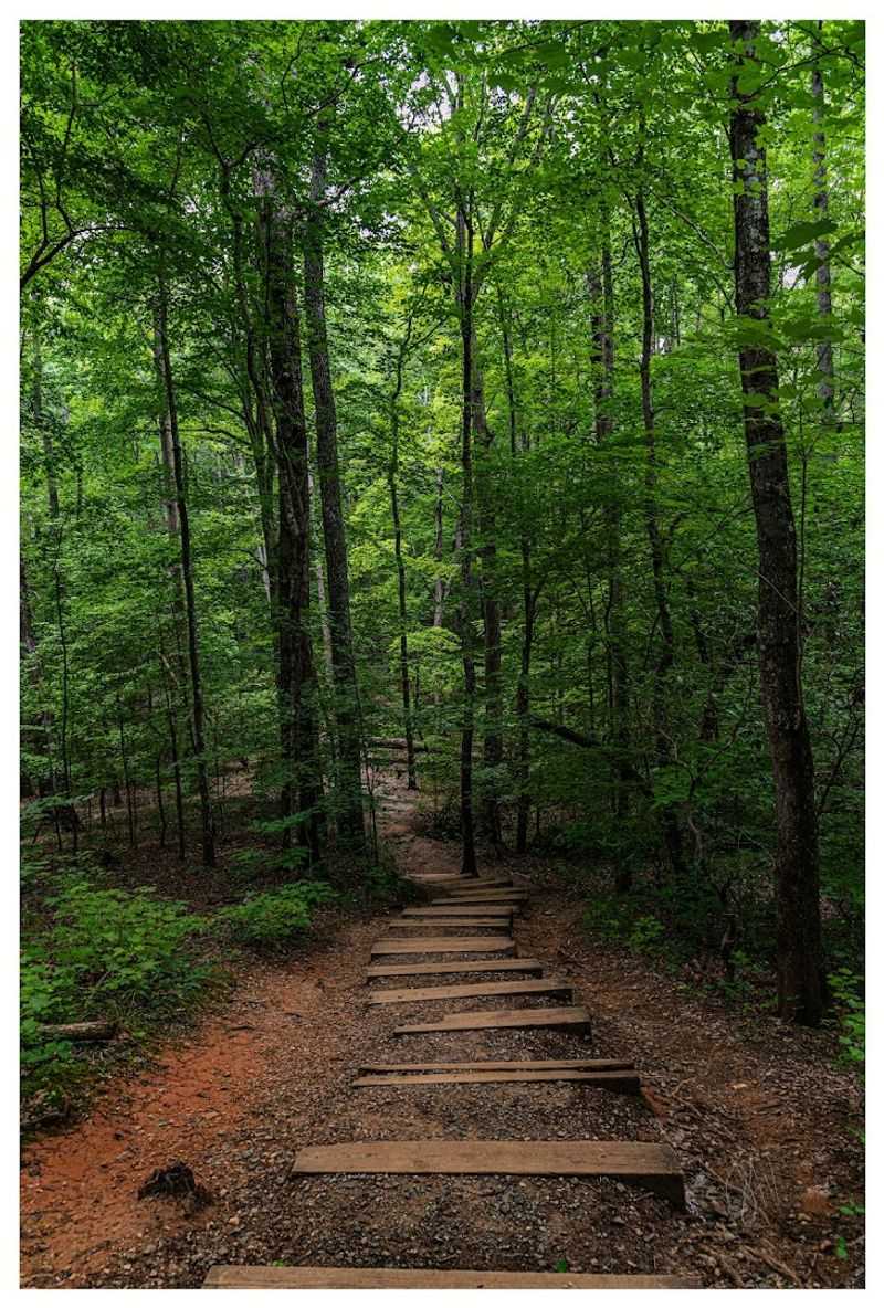The Ridgeline Trail That Crosses Into South Carolina