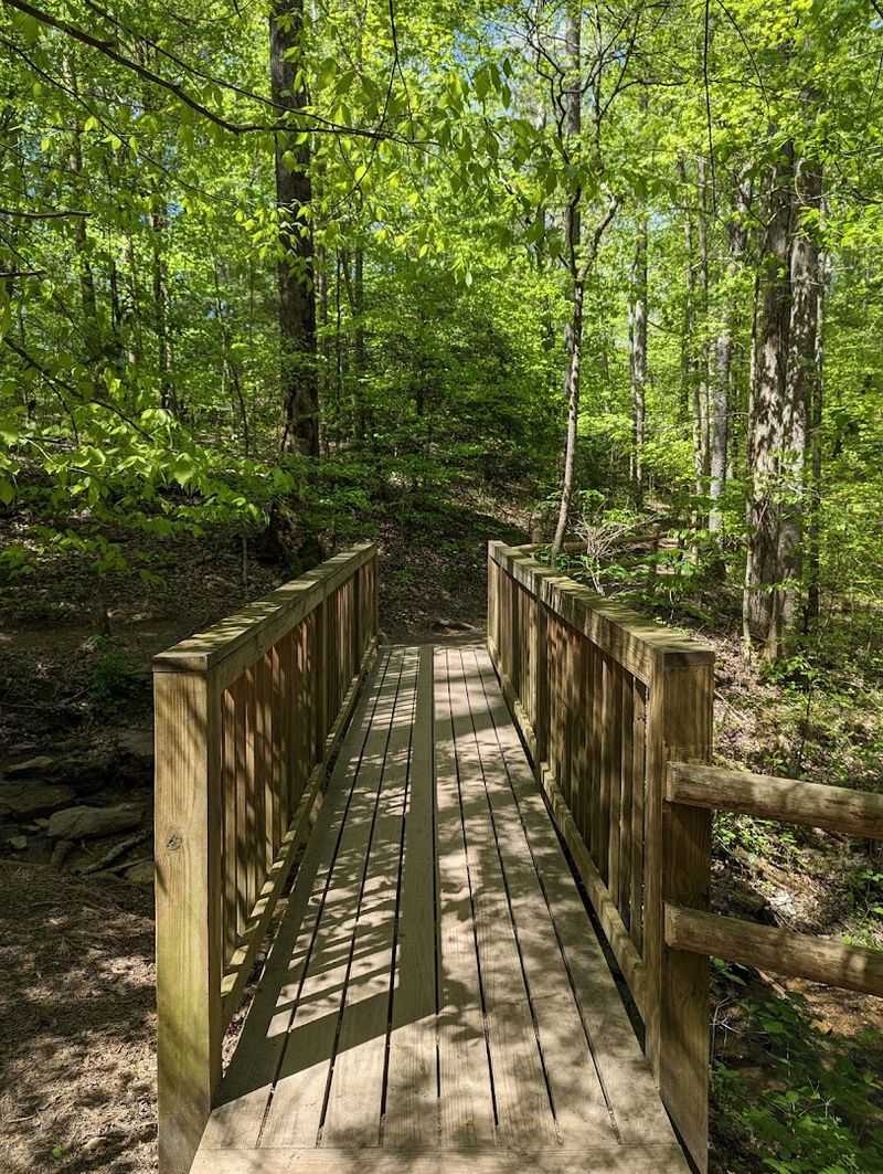 The River Trail Hike Experience The River Trail Hike Experience