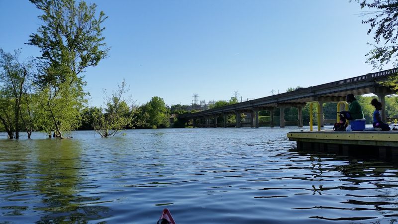 The Roanoke River: Nature Right Outside Your Door