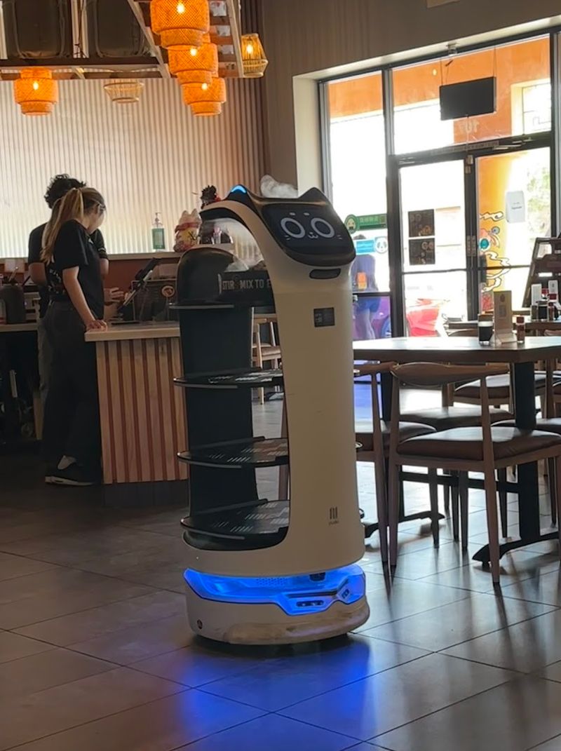 The Robot Cat That Stole Everyone's Heart