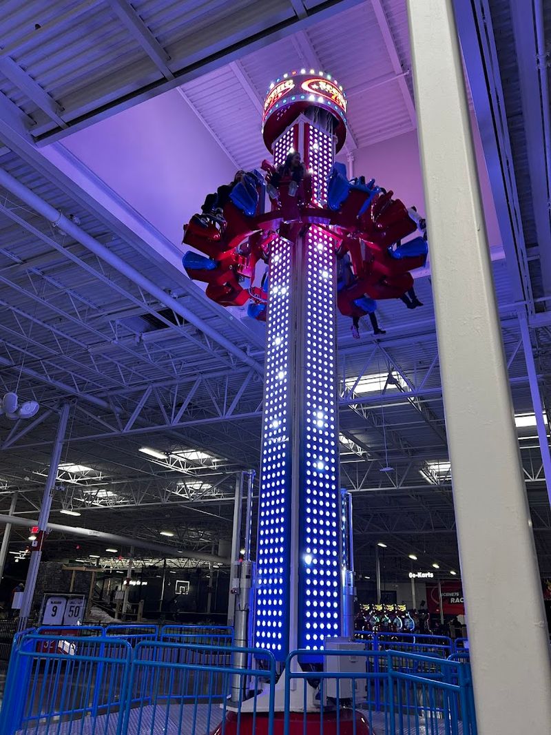 The Roller Coaster and Carnival-Style Rides