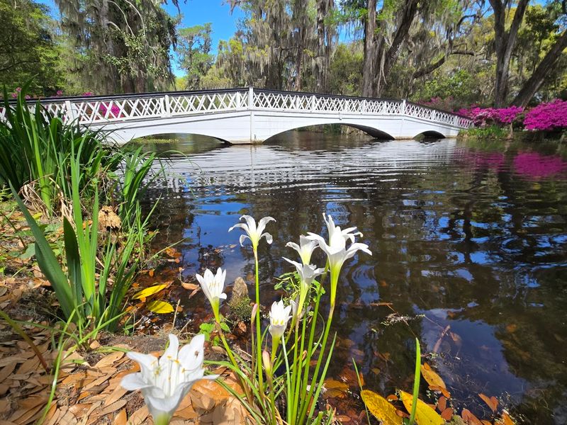 The Romantic Long White Bridge