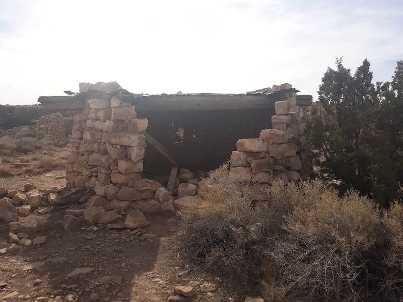 The Ruins of the Mountain Lion Zoo