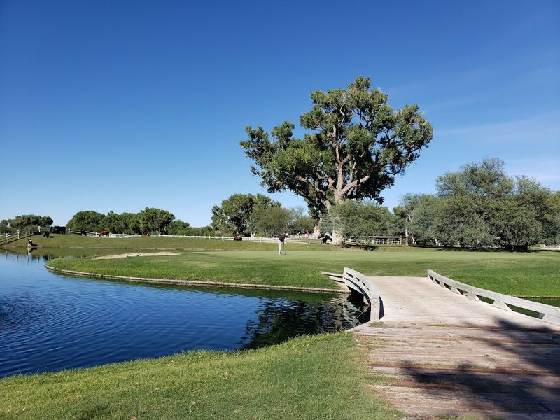 The Santa Cruz River and Its Natural Beauty