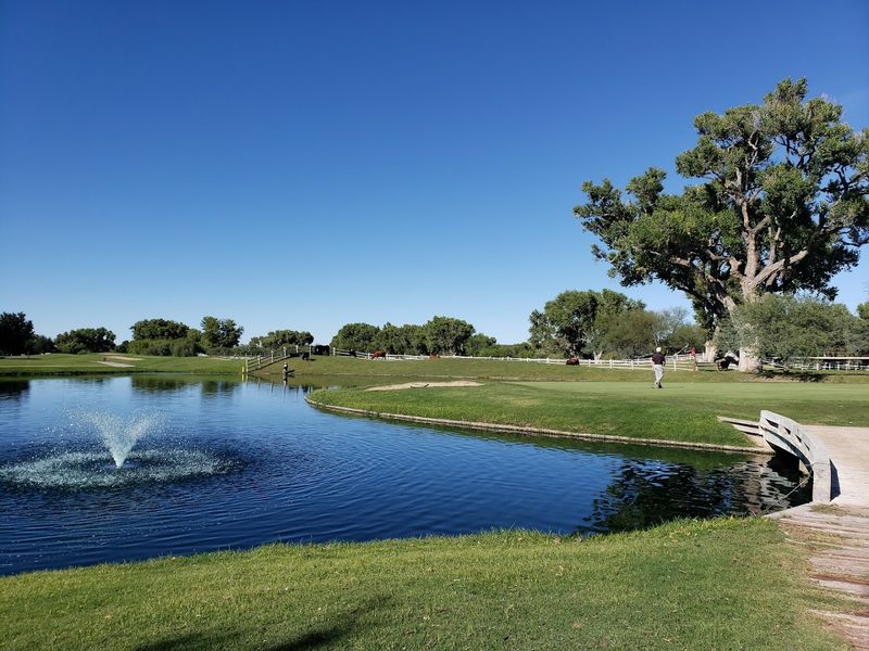 The Santa Cruz River — The Lifeblood of a Desert Town