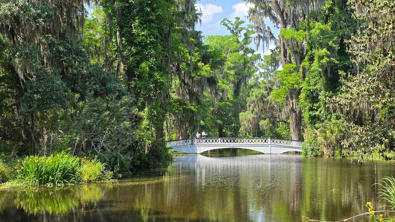 The Scenic Boat Tour