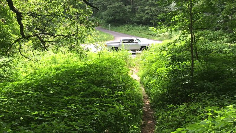 The Scenic Drive Up the Mountain