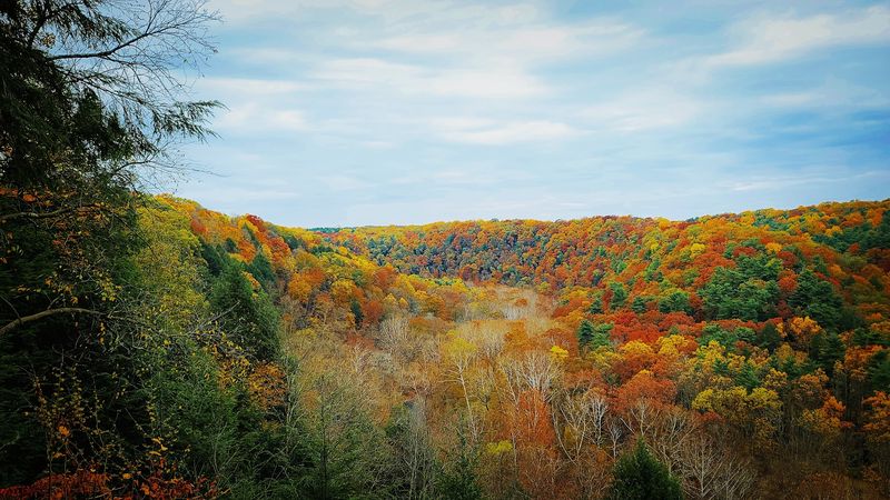 The Scenic Gorge Views That Stop You in Your Tracks